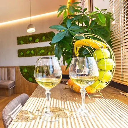 Terrace Apartment *