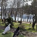 Terrace * Tirana